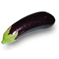 Eggplant Round 3 pack - *BULK SPECIAL*