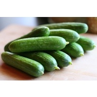 1kg Cucumber Lebanese - $17.95/kg