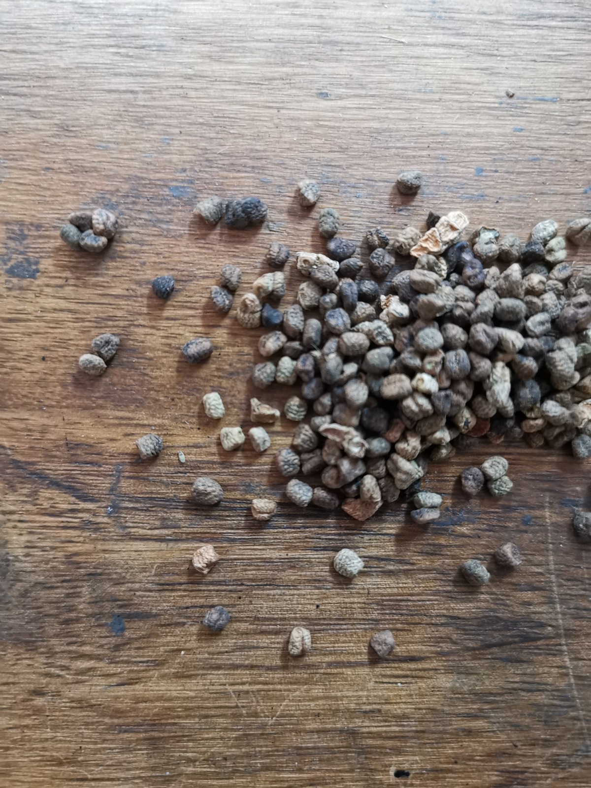 Cardamon Seeds, Certified Organic, 200g