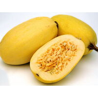 Spaghetti Squash