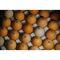 Eggs doz 600g - The Organic Fine Food Company