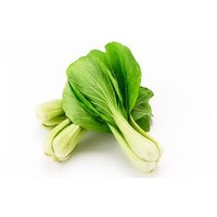 Bok Choi