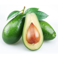 Avocado (Single) - large
