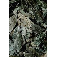 Bay Leaves 10g
