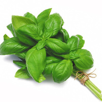 Basil - Bunch 100g