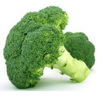 Broccoli head