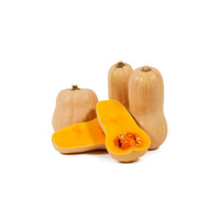 Pumpkin - Butternut