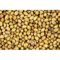 Coriander Seeds 50g