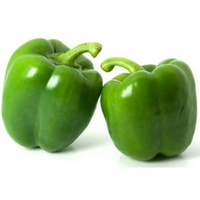 Capsicum - Green 