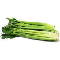 Celery Whole - SMALL
