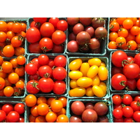 Cherry Tomatoes 