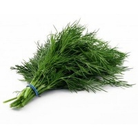 Dill - bunch 30g