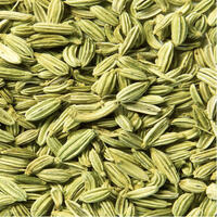 Fennel Seeds 50g