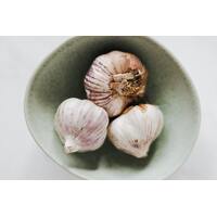 Garlic Bulbs