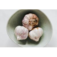 Growing/Sprouted Garlic - 500g