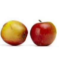 Juicing Apples - Red