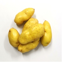 Kipfler Potatoes 1kg