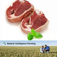 Lamb Shortloin Chops 460g | Natural Intelligence Farming