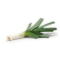 Leek