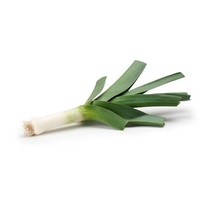 Leek (small)