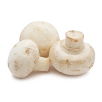 Mushrooms 