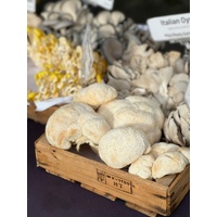 Lions Mane Mushroom 200g - FRESH WHOLE