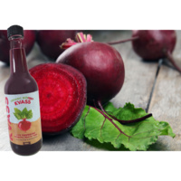 Organic Bio Beet Kvass Standard/Restore 500ml