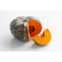 Pumpkin - Jap/Golden