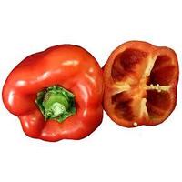 Red Capsicum SECONDS - small each