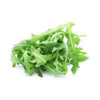 Rocket Bunch - Small