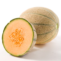 Rockmelon 