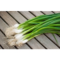 Spring Onions (bunch)