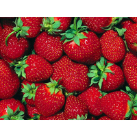 Large Strawberries Punnet 250g