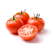 Tomatoes - Round