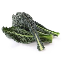 Tuscan Kale Bunch