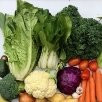 Vegetable Only Seasonal Box - Please choose your size