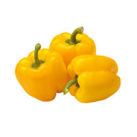 Capsicum Yellow (Single)
