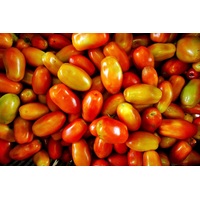 Baby Roma Tomato Punnet