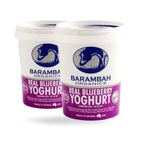 Barambah Organics Lactose Free Yoghurt, Blueberry, 500G