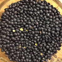 Black Beluga Lentils, Organic, 1kg