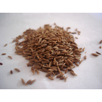 Cumin Seeds 50g