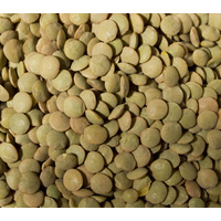 Green Lentils, Organic, 1kg