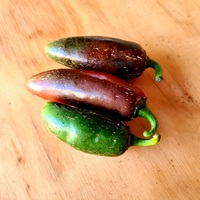 Jalapeno Peppers 100g