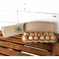 Pastured Eggs | Lesueur Farms